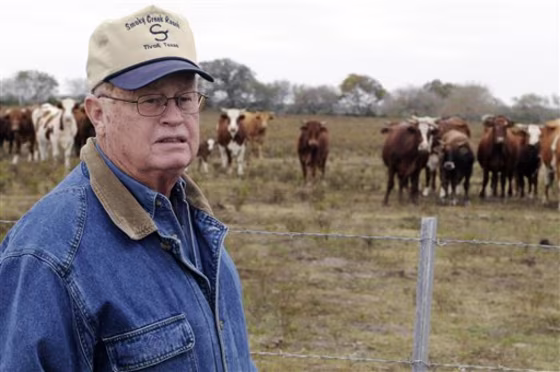 Dallas Ford